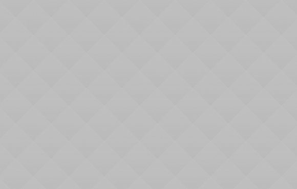 04 Our Division Specializing in Non-Profit Organizations